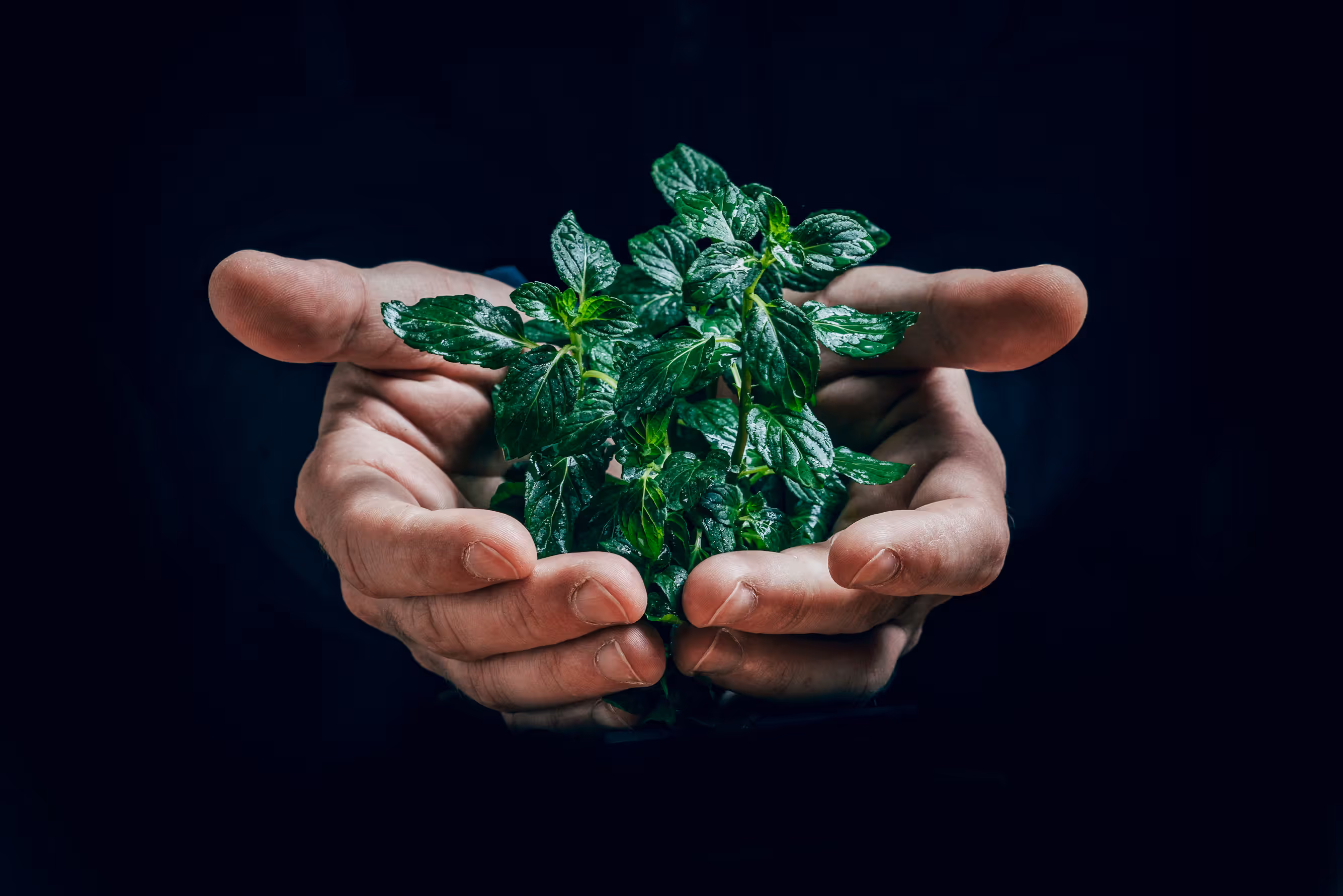 EcoTrack 可持续发展应用